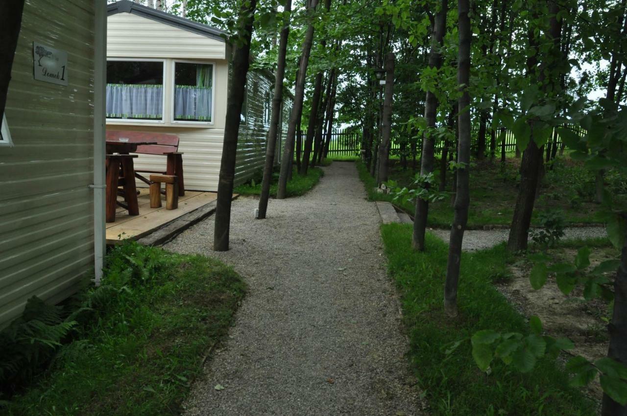 Agroturystyka Wichrowe Wzgorze Osiek  Exteriér fotografie