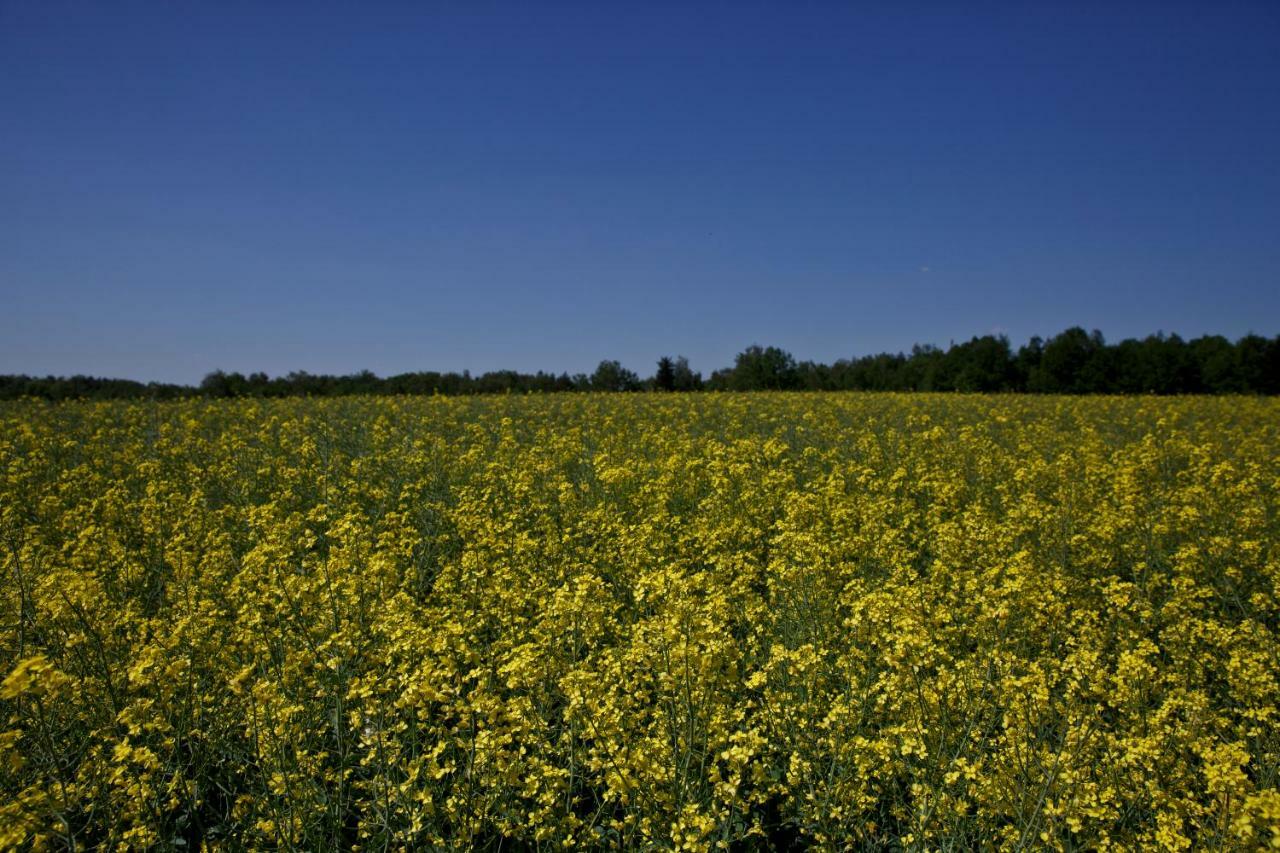 Agroturystyka Wichrowe Wzgorze Osiek  Exteriér fotografie